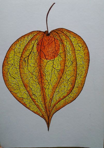 Autumn beauty 2, Ink on paper 30x40cm